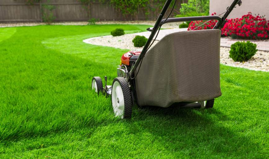 Lawn Mowing
